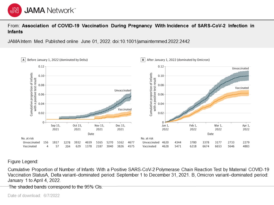 COVID 19 Vaccination During Pregnancy Could Protect Against SARS CoV 2   D Fell JAMA Int Medicine Figure 1 